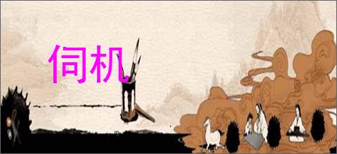 伺机