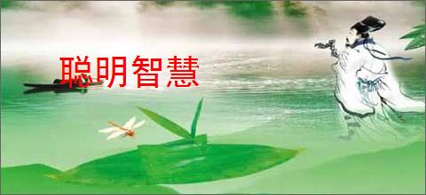 聪明智慧