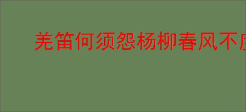 羌笛何须怨杨柳春风不度玉门关的意思
