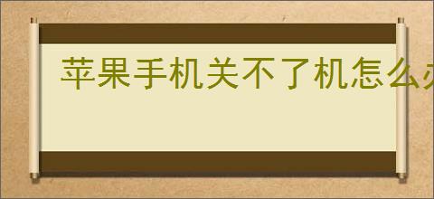 苹果<strong>手机</strong>关不了机怎么办