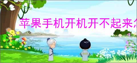 苹果<strong>手机</strong>开机开不起来怎么办
