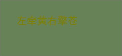 左牵黄右擎苍