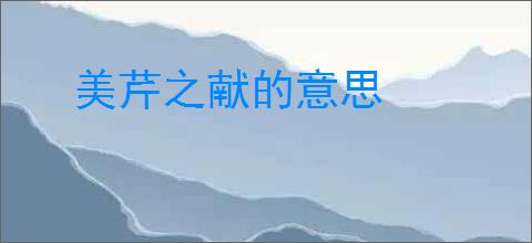 美芹之献的意思