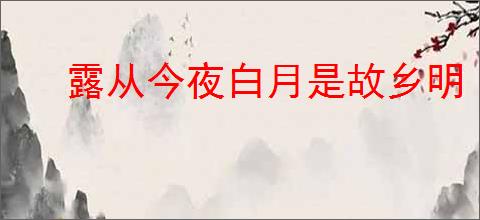 露从今夜白月是故乡明