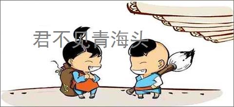 君不见青海头